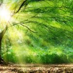 L’ésotérisme à venir, connaissance ou superstition ?
