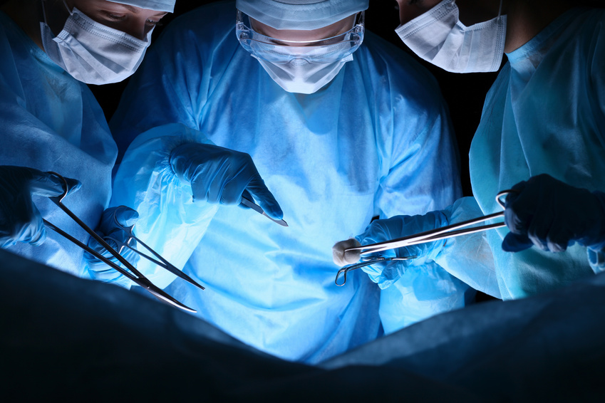 Bioéthique Les transplantations d’organe Nouvelles clés du secret de la vie